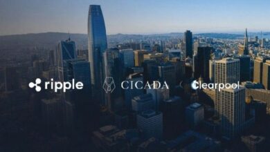 ريبل وكليربول وسيكادا يتعاونون لبناء مسارات ائتمانية جديدة على XRPL