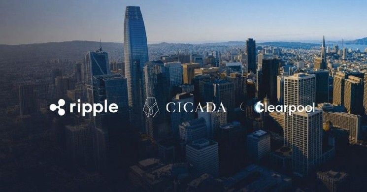 ريبل وكليربول وسيكادا يتعاونون لبناء مسارات ائتمانية جديدة على XRPL