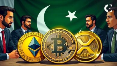 قوانين العملات الرقمية في باكستان: ما هي المنصات القانونية، وماذا لو لم يكن أي منها مرخصًا؟