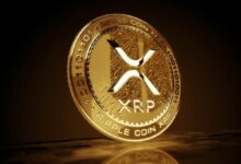 دفتر XRP يسجل ذروة جديدة: الاقتراب من عتبة 200,000 مستخدم