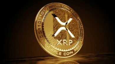 دفتر XRP يسجل ذروة جديدة: الاقتراب من عتبة 200,000 مستخدم