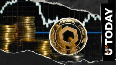 "المستثمرون يرون Chainlink يقود كل شيء"، رئيس Bitwise مع تدفقات ETF المتنامية