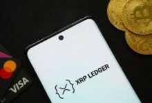 رئيس XRPL Commons ديفيد بشيري: التصميم المعاكس لـ XRP Ledger هو ميزته التنافسية