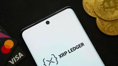 رئيس XRPL Commons ديفيد بشيري: التصميم المعاكس لـ XRP Ledger هو ميزته التنافسية
