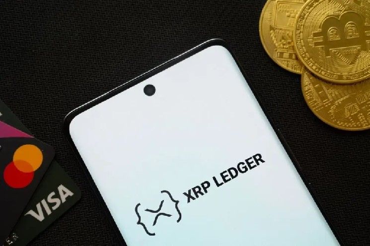 رئيس XRPL Commons ديفيد بشيري: التصميم المعاكس لـ XRP Ledger هو ميزته التنافسية