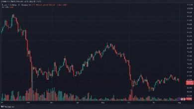 متداولو البيتكوين يخسرون 100 مليون دولار مع هبوط BTC بـ 3 آلاف دولار في 12 ساعة