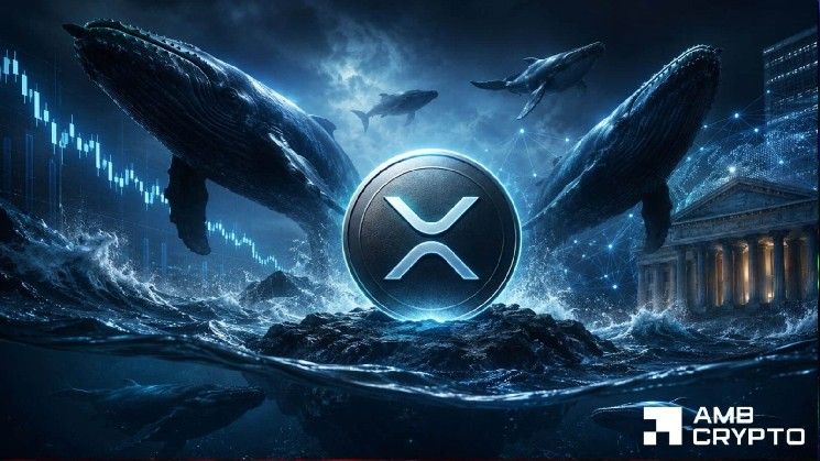 محافظ XRP ذات المليون توكن ترتفع 32 بينما تنخفض القيمة السوقية 29%: هل تستطيع الحيتان امتصاص ضعف السعر؟
