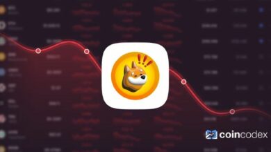 توقع سعر BONK – هل ينخفض إلى 0.000002 دولار بحلول 27 أغسطس 2026؟