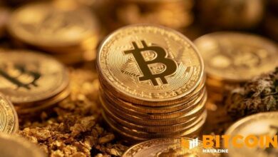 إدلمان المالية وتودور للاستثمار يكشفان عن حيازات كبيرة من البيتكوين