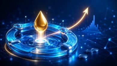 تحديث نظام Curve البيئي: أعلى العوائد والمؤشرات الرئيسية لنهاية أغسطس 2026