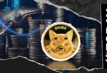 تدفق تبادل SHIB يتراجع 97%: ما الذي يحرّك الدببة؟