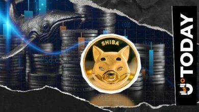 تدفق تبادل SHIB يتراجع 97%: ما الذي يحرّك الدببة؟