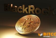 بيتكوين يتراجع لكن دوره كبديل نقدي عالمي لا يزال قائماً، وفقاً لـ"بلاك روك"