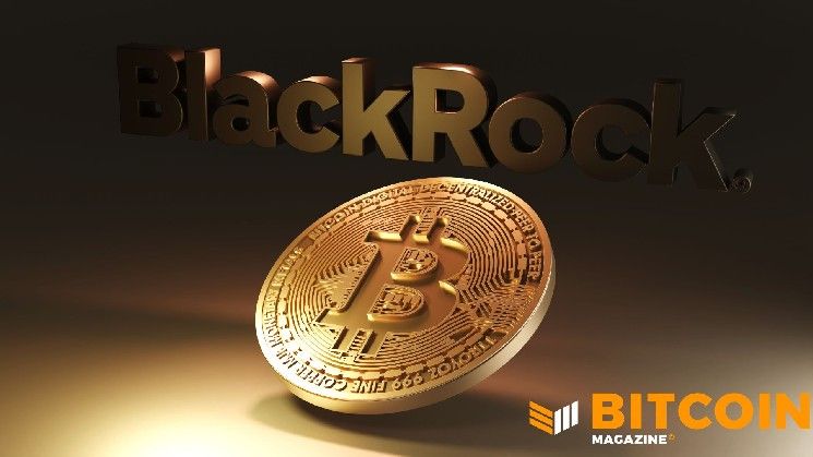 بيتكوين يتراجع لكن دوره كبديل نقدي عالمي لا يزال قائماً، وفقاً لـ"بلاك روك"
