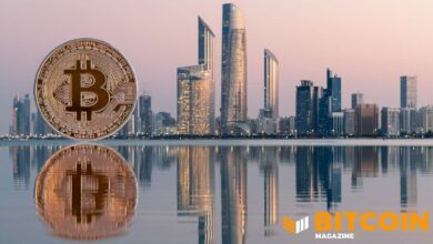 صناديق الثروة السيادية في أبوظبي تحتفظ بحيازات ضخمة من البيتكوين