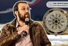 مؤسس كاردانو يدعم AlphaGrowth وDraper Dragon كبديل وظيفي لـ EMURGO