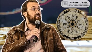 مؤسس كاردانو يدعم AlphaGrowth وDraper Dragon كبديل وظيفي لـ EMURGO