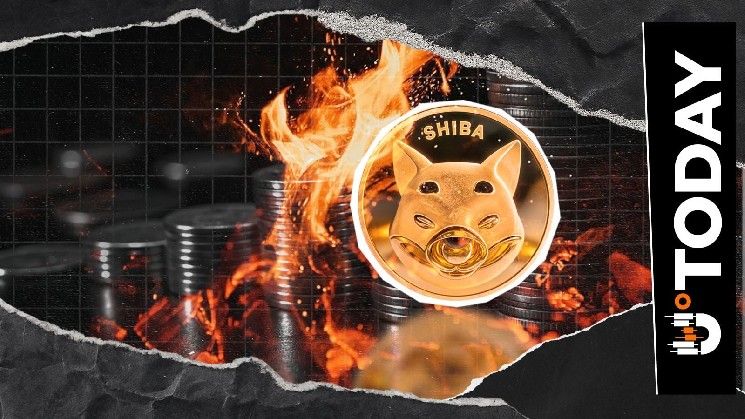 حرق 24.38 مليون شيبا إينو وسط قفزة 3,607% في معدل الحرق