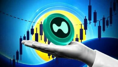 مع توسع هايبرليكيد في الولايات المتحدة، الرئيس التنفيذي لشركة وينترميوت يحذر من مخاطرين كبيرين