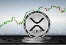 انخفاض XRP Ledger بنسبة 25% يحفز نموًا غامضًا في المعاملات
