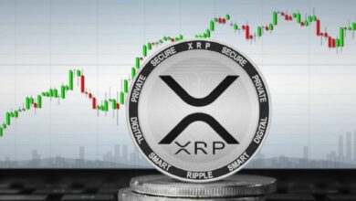 انخفاض XRP Ledger بنسبة 25% يحفز نموًا غامضًا في المعاملات