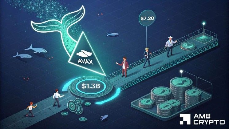 ارتفاع حجم الأصول الحقيقية في أفالانش بنسبة 360% – هل تستطيع الحيتان دفع AVAX إلى 7.20 دولار؟