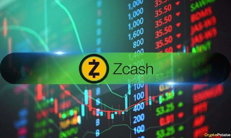 زيكاش (ZEC) تختفي ضجة社交媒体 قبل إطلاق صندوقها المتداول: بيانات تكشف الحقيقة