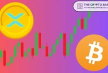 XRP يقفز 43% في أسبوع، لكن زوج XRP/BTC ما زال منخفضًا 88% مع تفوق البيتكوين بنسبة 361%
