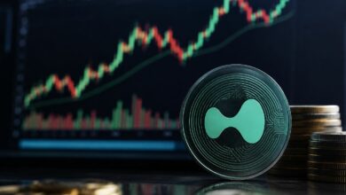 توقعات سعر عملة PURR مع تسجيل توكن HYPE من Hyperliquid أعلى مستوى قياسي