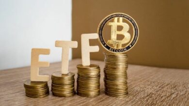 بلاك روك تقود تدفقات صناديق البيتكوين المتداولة بـ233 مليون دولار بنسبة 79%