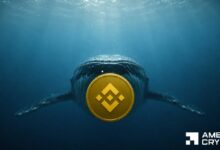 عملة بينانس: هل يمكن لصفقة حوت بقيمة 8.5 مليون دولار أن تُبقي BNB فوق 700 دولار؟