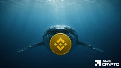 عملة بينانس: هل يمكن لصفقة حوت بقيمة 8.5 مليون دولار أن تُبقي BNB فوق 700 دولار؟