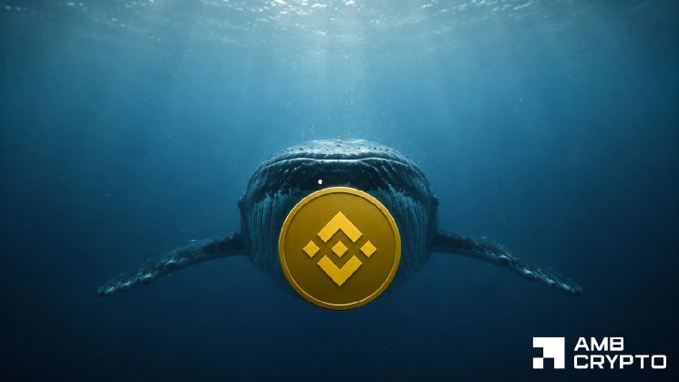 عملة بينانس: هل يمكن لصفقة حوت بقيمة 8.5 مليون دولار أن تُبقي BNB فوق 700 دولار؟