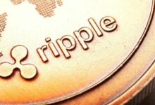ريبل تدفع بمنظومة XRPL الكاملة مع توسع الأصول المرمزة