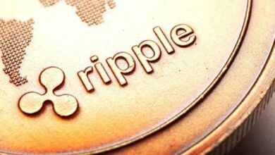 ريبل تدفع بمنظومة XRPL الكاملة مع توسع الأصول المرمزة