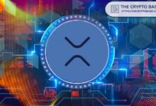 تداولات صناديق XRP المتداولة تحطم الرقم القياسي الشهري بـ723 مليون دولار في أغسطس