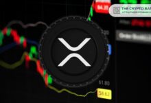 نشاط محافظ XRP ينقلب سلبياً مع ارتفاع عمليات السحب