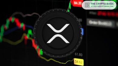 نشاط محافظ XRP ينقلب سلبياً مع ارتفاع عمليات السحب