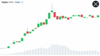 تتجاوز تداولات صندوق Bitwise XRP المتداول 200 مليون دولار خلال ثلاث جلسات