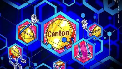 فالكون إكس وإنترستيس تربطان كانتون بإيثريوم وسولانا وسلسلة روبن هود