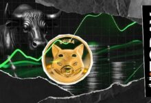 شيبا إينو يستعيد 0.000005 دولار: تدفق صافٍ بـ207 مليار شيب يشعل التعافي