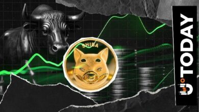 شيبا إينو يستعيد 0.000005 دولار: تدفق صافٍ بـ207 مليار شيب يشعل التعافي