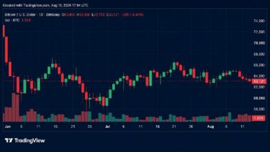 بيتكوين تهبط دون 63,000 دولار مع تصفية صفقات شراء بقيمة 122 مليون دولار