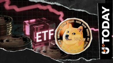 يوم صفري آخر لصندوق دوجكوين المتداول: هل اقترب التحول؟