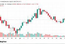 زيك تتجاوز 490 دولارًا — إليك ما يقود هذا الصعود