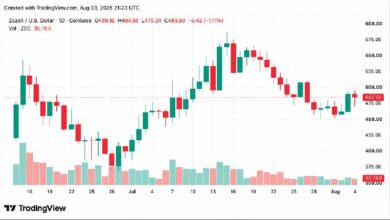 زيك تتجاوز 490 دولارًا — إليك ما يقود هذا الصعود