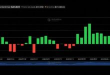 صناديق بيتكوين المتداولة تكسر سلسلة 9 أيام بخروج 202 مليون دولار بينما يجمع إيثر 102 مليون دولار