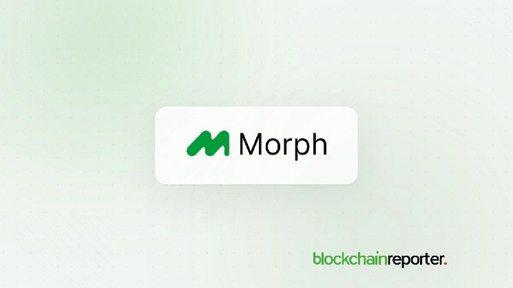 Morph ينضم إلى Bitget وMorpho وGauntlet لتقديم عوائد DeFi بمستوى مؤسسي