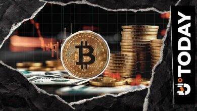 'لا يمكن أن ينتهي هذا إلا بطريقة واحدة': تقلبات بيتكوين تهبط إلى أدنى مستوى جديد في 2026