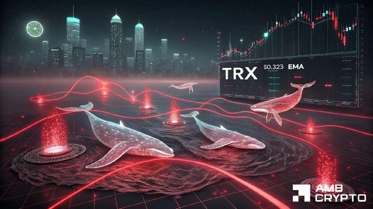 إيرادات ترون تصل 37.8 مليون دولار مع نمو أوامر الحيتان: هل تشهد TRX اختراقًا قادمًا؟